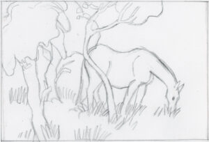 Ein Pferd auf der Weide Ein Pferd auf der Weide