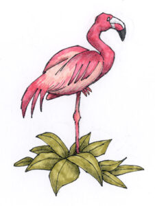 Zeichnung für eine Naturfilm-Parodie (Copic-Fine-Liner, Marker, Schwarzstift) Zeichnung für den Titelvorspann einer Naturfilm-Parodie (Copic-Fine-Liner, Marker, Schwarzstift)