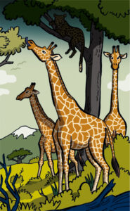 Drei Giraffen auf der Weide
