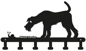 Schlüsselbrett: Welsh Terrier interessiert sich für eine Schnecke