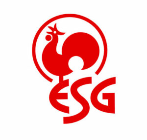 Redesign des Logos der ESG, Braunschweig